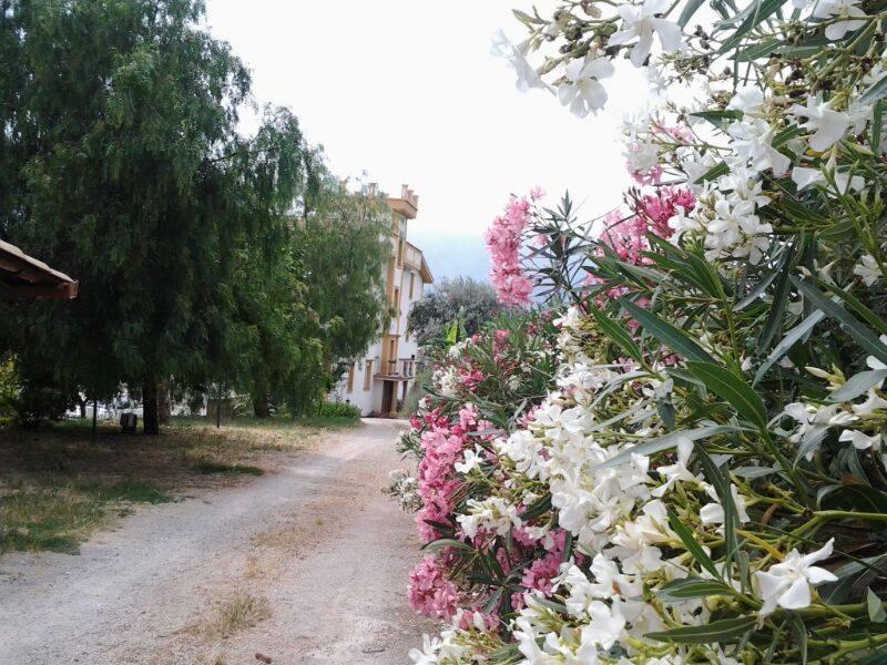 Bed and Breakfast Rocca Di Monreale Exterior foto